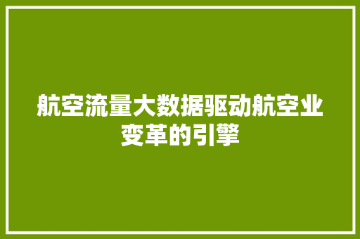 航空流量大数据驱动航空业变革的引擎 航空流量大数据驱动航空业变革的引擎