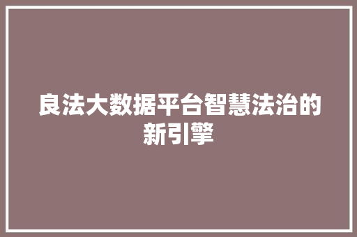 良法大数据平台智慧法治的新引擎