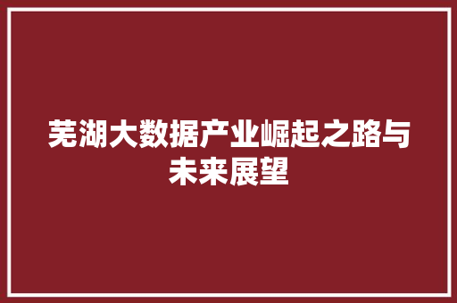 芜湖大数据产业崛起之路与未来展望
