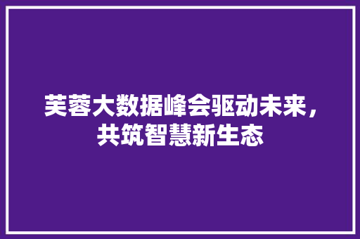 芙蓉大数据峰会驱动未来，共筑智慧新生态