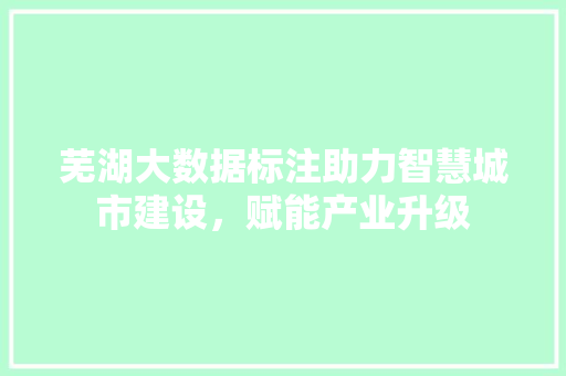 芜湖大数据标注助力智慧城市建设，赋能产业升级