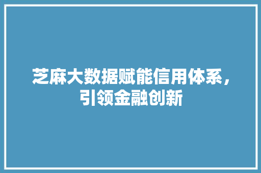 芝麻大数据赋能信用体系，引领金融创新