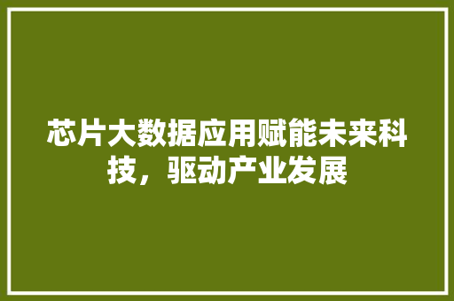 芯片大数据应用赋能未来科技，驱动产业发展