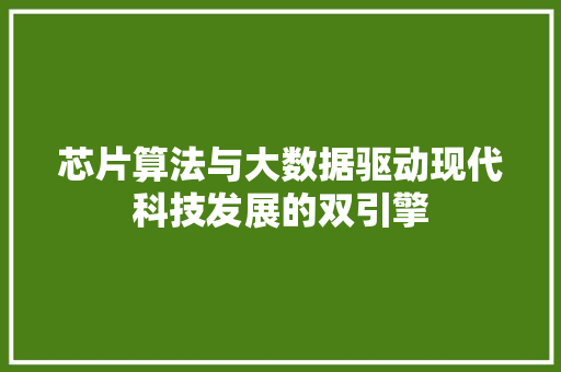 芯片算法与大数据驱动现代科技发展的双引擎