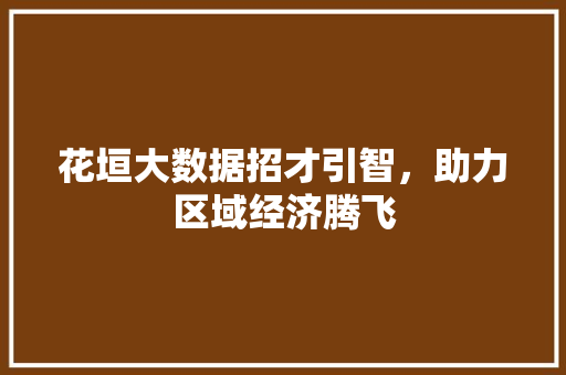 花垣大数据招才引智，助力区域经济腾飞