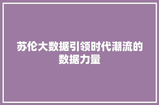 苏伦大数据引领时代潮流的数据力量