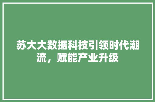 苏大大数据科技引领时代潮流，赋能产业升级