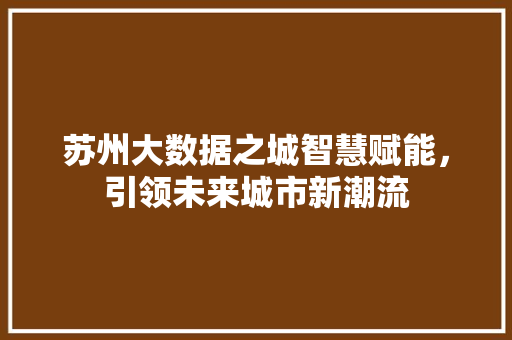 苏州大数据之城智慧赋能，引领未来城市新潮流