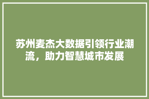 苏州麦杰大数据引领行业潮流,助力智慧城市发展 苏州麦杰大数据引领行业潮流,助力智慧城市发展