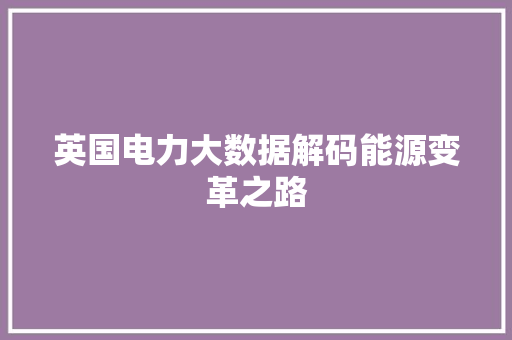 英国电力大数据解码能源变革之路