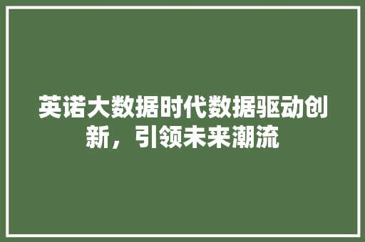 英诺大数据时代数据驱动创新，引领未来潮流