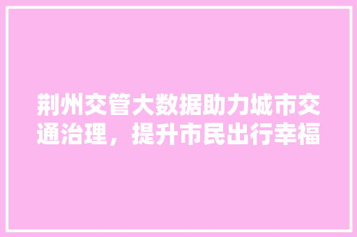 荆州交管大数据助力城市交通治理，提升市民出行幸福感