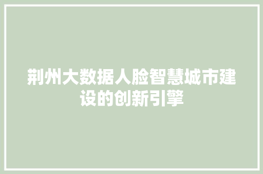 荆州大数据人脸智慧城市建设的创新引擎 荆州大数据人脸智慧城市建设的创新引擎