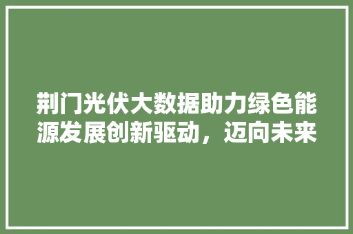 荆门光伏大数据助力绿色能源发展创新驱动,迈向未来 荆门光伏大数据助力绿色能源发展创新驱动,迈向未来