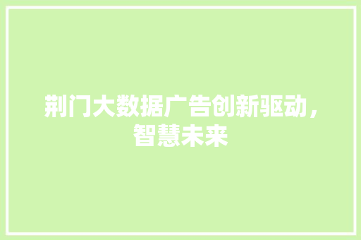 荆门大数据广告创新驱动，智慧未来