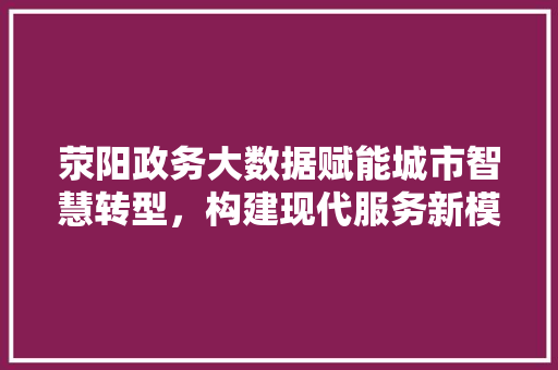 荥阳政务大数据赋能城市智慧转型，构建现代服务新模式