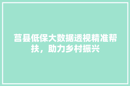莒县低保大数据透视精准帮扶，助力乡村振兴