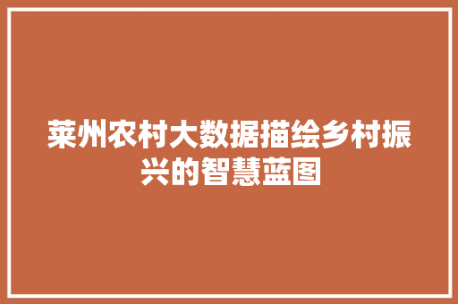 莱州农村大数据描绘乡村振兴的智慧蓝图