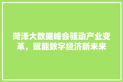 菏泽大数据峰会驱动产业变革,赋能数字经济新未来 菏泽大数据峰会驱动产业变革,赋能数字经济新未来