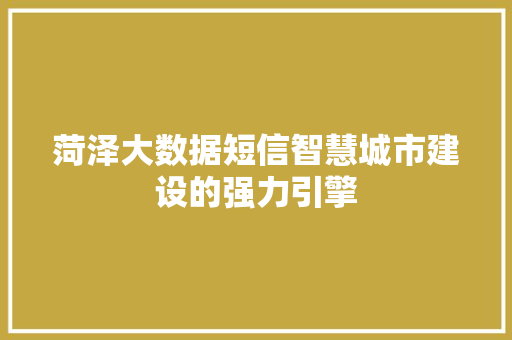 菏泽大数据短信智慧城市建设的强力引擎