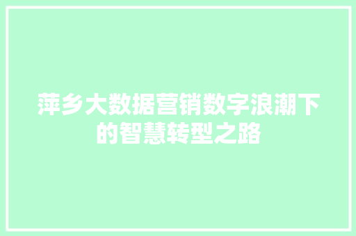 萍乡大数据营销数字浪潮下的智慧转型之路