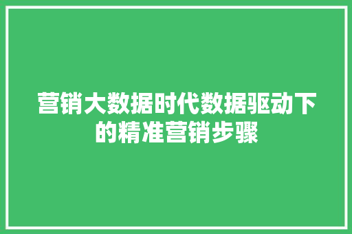 营销大数据时代数据驱动下的精准营销步骤