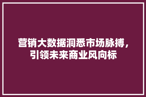 营销大数据洞悉市场脉搏，引领未来商业风向标