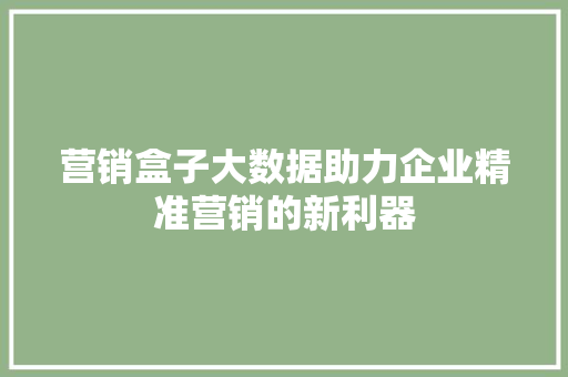 营销盒子大数据助力企业精准营销的新利器