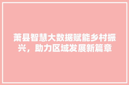萧县智慧大数据赋能乡村振兴，助力区域发展新篇章