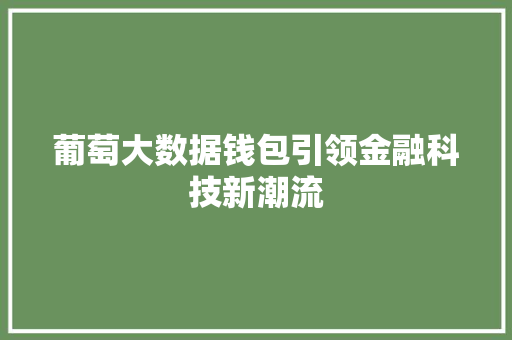 葡萄大数据钱包引领金融科技新潮流