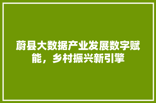 蔚县大数据产业发展数字赋能，乡村振兴新引擎