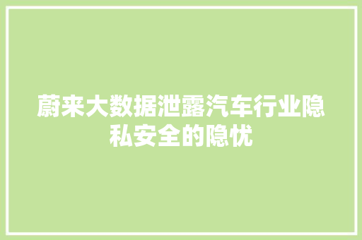 蔚来大数据泄露汽车行业隐私安全的隐忧