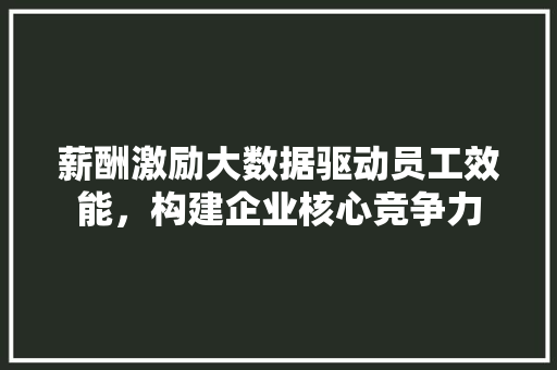 薪酬激励大数据驱动员工效能，构建企业核心竞争力