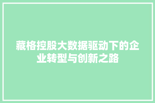 藏格控股大数据驱动下的企业转型与创新之路