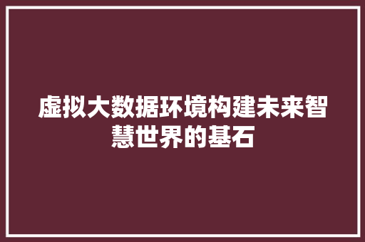 虚拟大数据环境构建未来智慧世界的基石