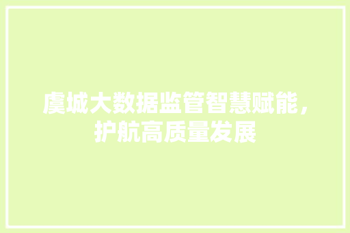 虞城大数据监管智慧赋能，护航高质量发展