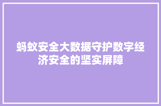 蚂蚁安全大数据守护数字经济安全的坚实屏障