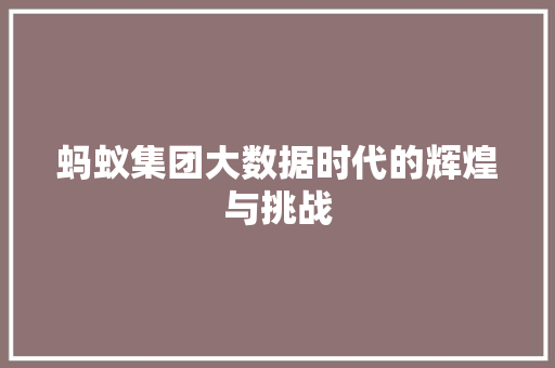 蚂蚁集团大数据时代的辉煌与挑战