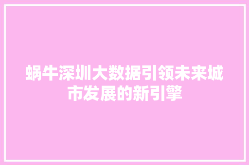 蜗牛深圳大数据引领未来城市发展的新引擎