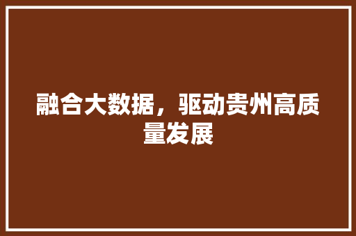 融合大数据，驱动贵州高质量发展