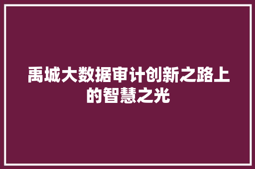 禹城大数据审计创新之路上的智慧之光