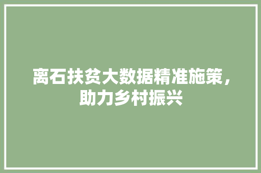 离石扶贫大数据精准施策，助力乡村振兴