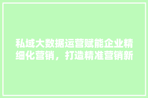 私域大数据运营赋能企业精细化营销，打造精准营销新时代