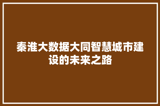 秦淮大数据大同智慧城市建设的未来之路