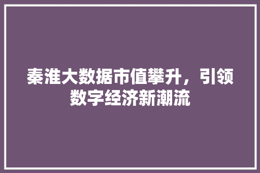 秦淮大数据市值攀升，引领数字经济新潮流