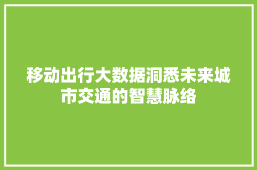 移动出行大数据洞悉未来城市交通的智慧脉络