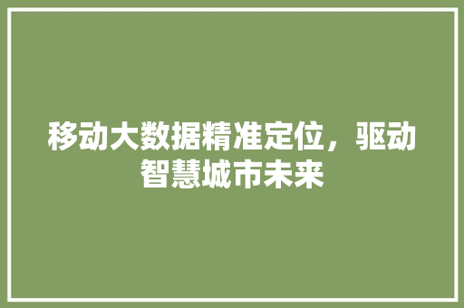移动大数据精准定位，驱动智慧城市未来