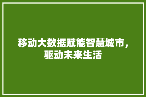 移动大数据赋能智慧城市，驱动未来生活
