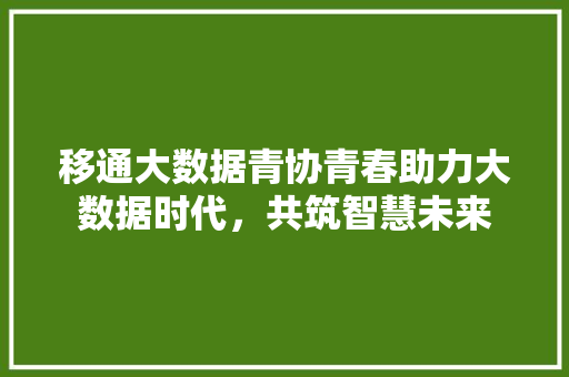 移通大数据青协青春助力大数据时代，共筑智慧未来