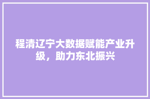 程清辽宁大数据赋能产业升级，助力东北振兴